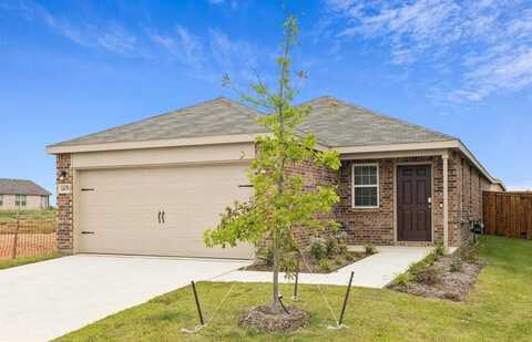 14151 Maida Drive, Pilot Point, TX 76258