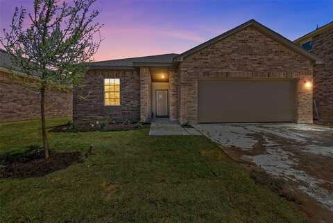 10344 Castle Lyons Lane, Fort Worth, TX 75036