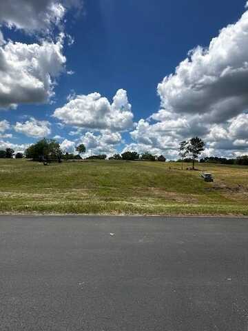 Lot 18 Open Water Way, Streetman, TX 75859