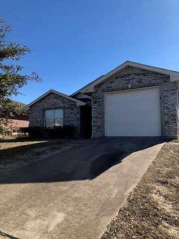 234 Los Cabos Drive, Dallas, TX 75232