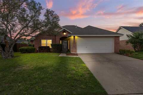 6209 Peach Tree Drive, Midlothian, TX 76065