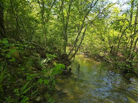TR 1&17 K-TRAIL, Albion, OK 74571
