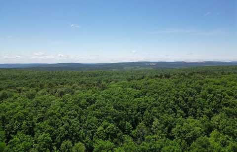 Tract 46 Trail Ridge Rd., Albion, OK 74571