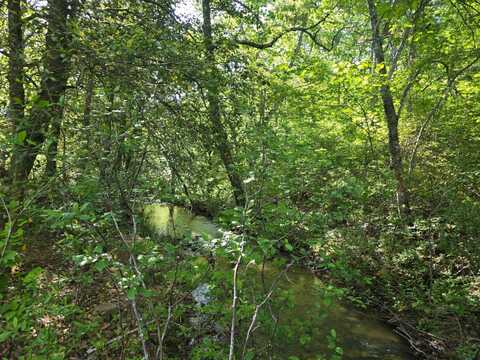 TR 21&22 PINE TREE TRAIL, Albion, OK 74571