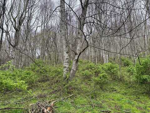 tbd Hwy #19 E, #, Newland, NC 28657