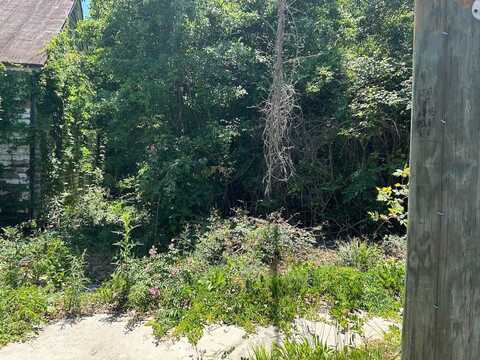 0 S Boundary St, Blackville, SC 29817