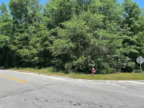 0 Izlar St, Blackville, SC 29817