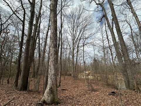 3 Old Wheeling Road, West, MS 39192