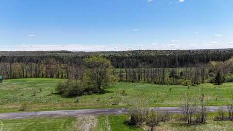 00 Ridgeview Rd, Plymouth, NY 13815