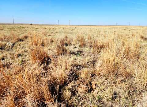 TBD County Road 83, Potter, NE 69156