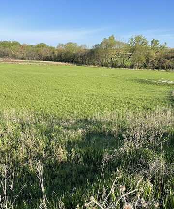 27800 Dobney, Silver City, IA 51571
