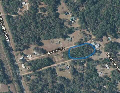 124 Hawking Rd., Dozier, AL 36028
