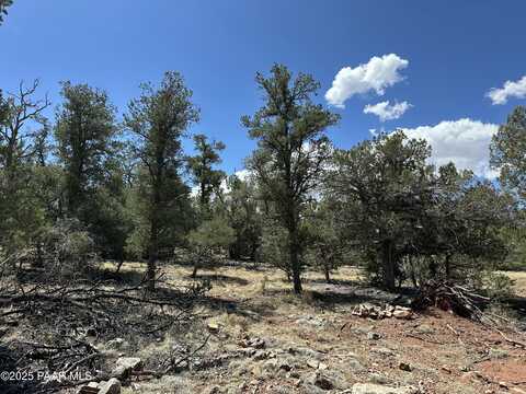 1035c W Whiskey River Road, Seligman, AZ 86337
