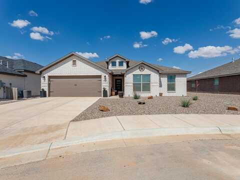 6909 Lady Bird Ln, Midland, TX 79705