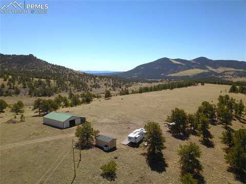 476 Castle Mountain Pass, Guffey, CO 80820