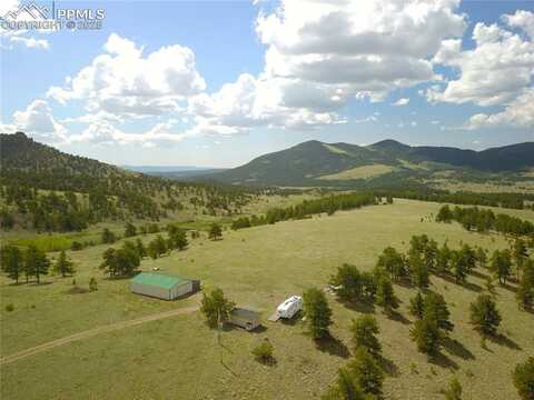 476 Castle Mountain Pass, Guffey, CO 80820