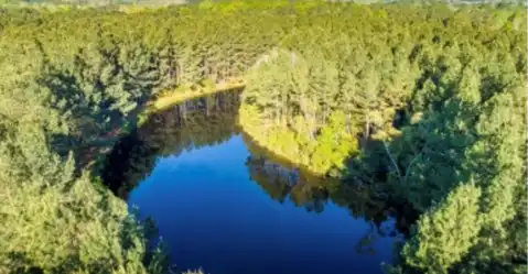 00 Little Black Creek Rd, Lumberton, MS 39455