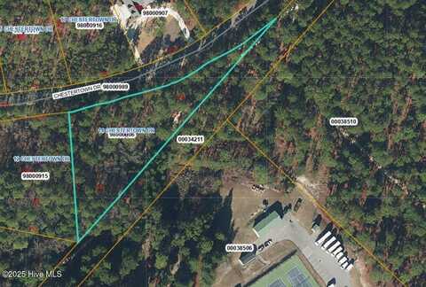 14 Chestertown Drive, Pinehurst, NC 28374