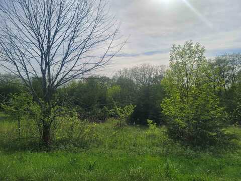 136 Blackhawk, GALENA, IL 61036