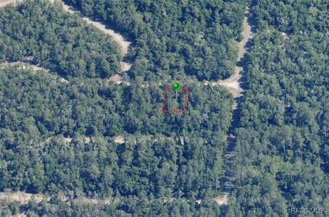 928 E Panama Drive, Citrus Springs, FL 34434