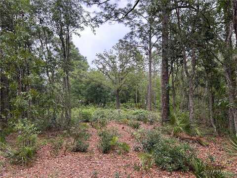 0 S Slash Pine Avenue, Homosassa, FL 34446