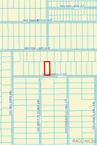 Lot 20 SW Rainelle Road, Dunnellon, FL 34431