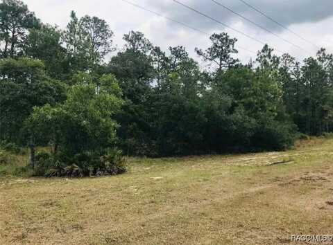 5929 W Dunklin Street, Dunnellon, FL 34433