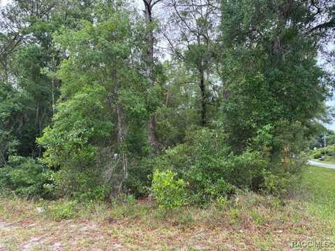 359 N Fitzpatrick Avenue, Inverness, FL 34453