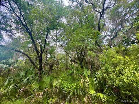 7577 N Chabaud Terrace, Crystal River, FL 34428