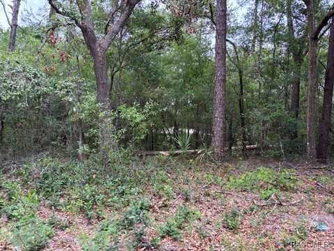 8949 N Cortlandt Drive, Citrus Springs, FL 34434