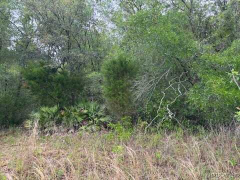 93 N Croft Avenue, Inverness, FL 34453