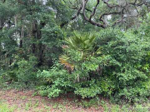 9657 W Gardeners Lane, Crystal River, FL 34428