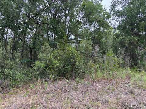 6717 E Gentry Street, Inverness, FL 34452