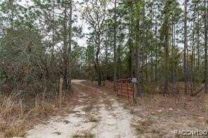 3057 W Scooter Lane, Dunnellon, FL 34433