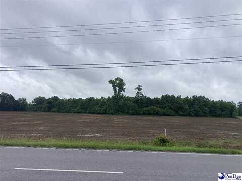 S Highway 301, Dillon, SC 29536