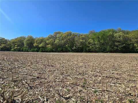 Roma Street lot: 109, Eau Claire, WI 54701