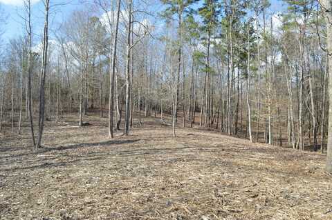 Lot 6 Old York Road NE, Cleveland, TN 37323