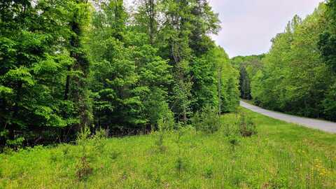 Lot 23 MOSS MEADOWS DR, Pittsville, VA 24139