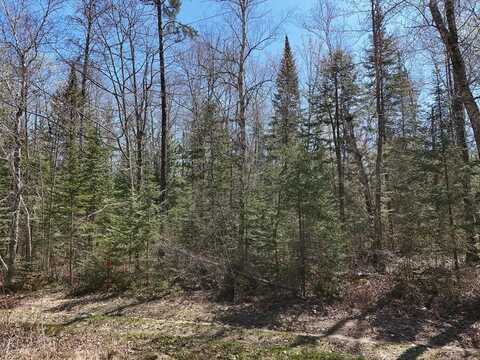 2xx S Lake Lawrence Road NE, Outing, MN 56662