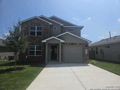1522 hoatzin, San Antonio, TX 78253