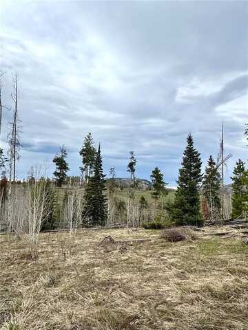 TBD REIN WAY, Oak Creek, CO 80467
