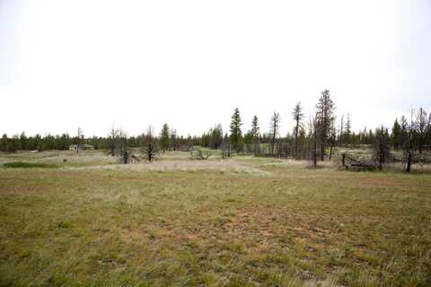 35308 S Long Rd, Cheney, WA 99004