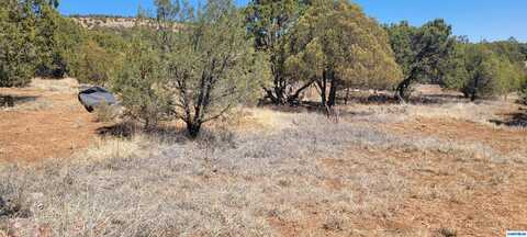 10 Mule Shoe Road, Hanover, NM 88041