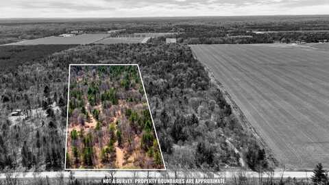 9.96 Acres 16th Avenue, Necedah, WI 54646