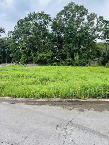 Lot 21 Cascade Dr, Florence, AL 35633