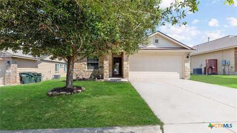 234 Wild Plum, San Marcos, TX 78666