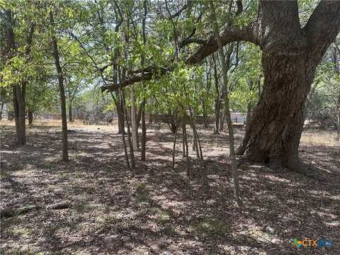1 Dog Wood Court, Morgans Point Resort, TX 76513