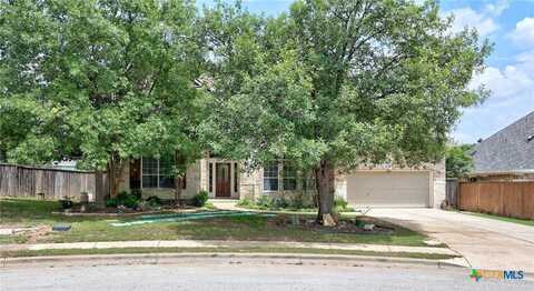 2604 Running Wyld, Leander, TX 78641