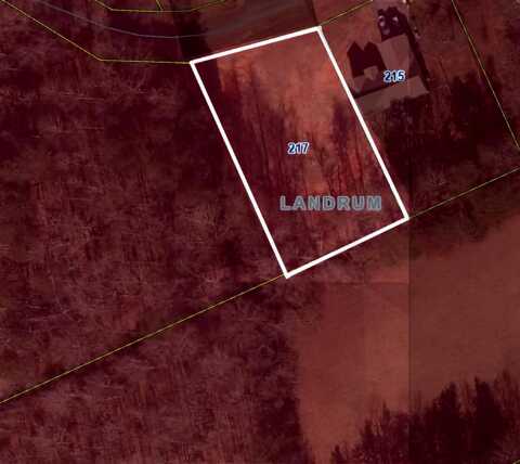 217 S Johnson Street, Landrum, SC 29356