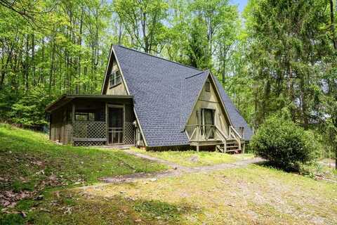 196 Blackberry Dr., Wytheville, VA 24382